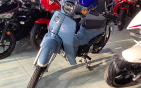 HONDA SUPER CUB110 JA44