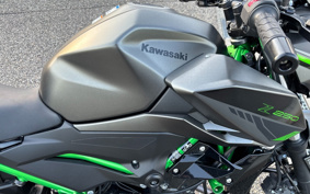 KAWASAKI Z250 EX250Y