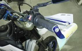 YAMAHA WR250X DG15J