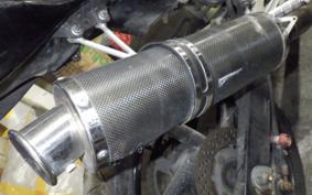 SUZUKI GOOSE 250 NJ46A