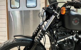HARLEY XL883N 2019 LE2
