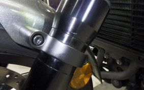 HONDA REBEL 1100 DCT 2024 SC83
