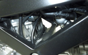 SUZUKI Vｽﾄﾛｰﾑ650 2009