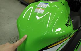 KAWASAKI NINJA 650 A 2025 ER650S