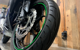 KAWASAKI Ninja 250 SE EX250L