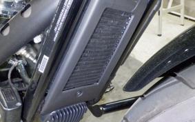 HARLEY FXLRS1920 2025