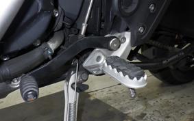 TRIUMPH TIGER 900 GT PRO 2024