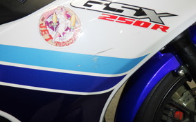 SUZUKI GSX250 R 2007