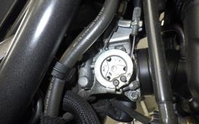 HONDA REBEL 250 S 2015 MC49