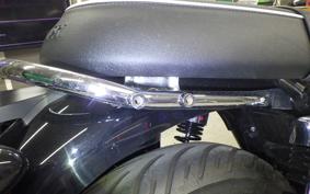 TRIUMPH BONNEVILLE T100 2024