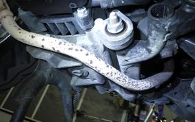 HONDA TACT-4ﾍﾞｰｼｯｸ AF79