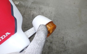 HONDA MONKEY BAJA 2015 Z50J