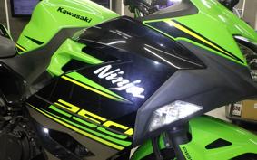 KAWASAKI NINJA 250 2 EX250P
