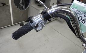 HARLEY FXE1340 2021