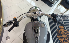 HARLEY  HARLEY FLFBS 2025 YGK