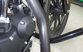 HARLEY XL1200NS 2019