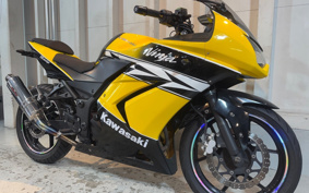 KAWASAKI NINJA 250R EX250K