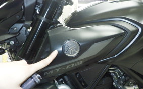 YAMAHA MT-03 ABS 2022 RH13J