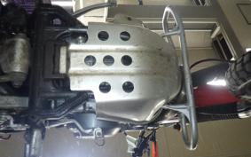 KAWASAKI SUPER SHERPA 2021 KL250G