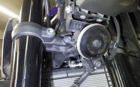 YAMAHA MT-25 A 2021 RG74J