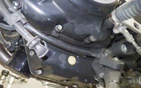 DUCATI SCRAMBLER ICON 2019