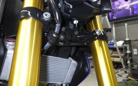 YAMAHA MT-15 2008