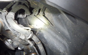 YAMAHA CYGNUSｸﾞﾘﾌｧｽ SEJ4J