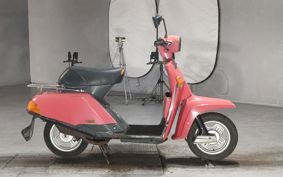 YAMAHA BELUGA 50 5G6