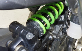 KAWASAKI ZX-4RR 2024 ZX400P