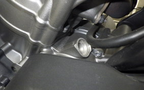 HARLEY ﾊﾟﾝ AMERICA1250S 2021