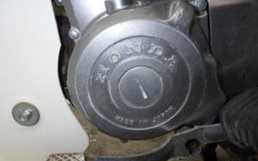 HONDA C50 SUPER CUB E 2025 C50