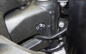 YAMAHA FZ1 FAZER 2010 RN21J