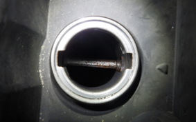 HONDA PS250 2003 MF09