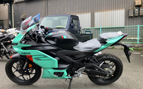 YAMAHA YZF-R25 RG95J