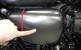 KAWASAKI W800 STREET 2022 EJ800E