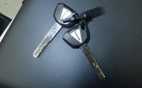 KAWASAKI NINJA1100SX 2025