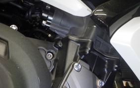 TRIUMPH DAYTONA660 2024