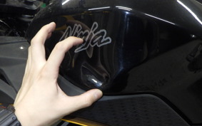 KAWASAKI NINJA 250 EX250L