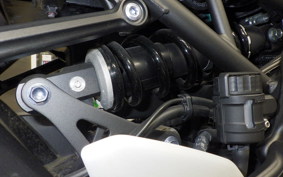 KAWASAKI Z900RS CAFE ZR900K