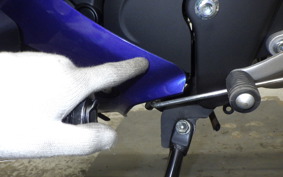 YAMAHA YZF-R15 RG86J