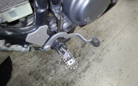 KAWASAKI SUPER SHERPA 2019 KL250G