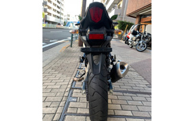 SUZUKI GSX250 R DN11A