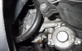 YAMAHA MAXAM 250 2001 SG21J
