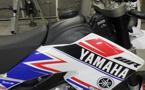 YAMAHA WR250X