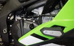 KAWASAKI ZX-4RR 2024 ZX400P