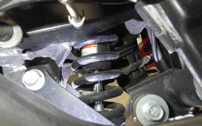 KAWASAKI NINJA 250 2006 EX250L
