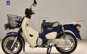 HONDA C110 SUPER CUB 2011 JA61