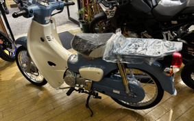 HONDA  SUPER CUB 50 FINAL ED AA09