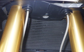 APRILIA RSV1000 MILLE 2009