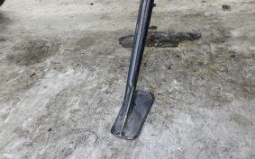 HARLEY ﾊﾟﾝ AMERICA1250S 2021